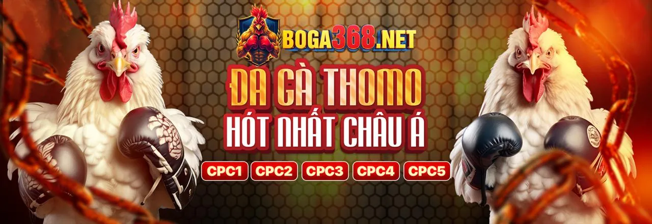 Câu lạc bộ VIP MCW66 với các đặc quyền độc quyền