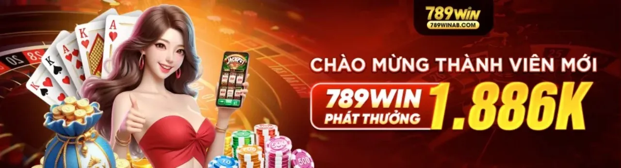 Hình ảnh Điều khoản và Điều kiện MCW66